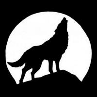 editions le loup hurlant